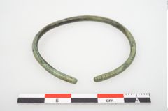 Foto von Bronzering (NHMW-PRAE-026628)